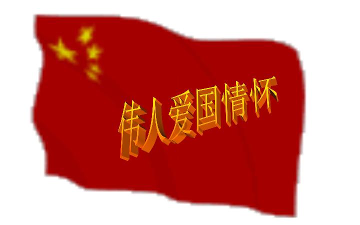 红树林逃生